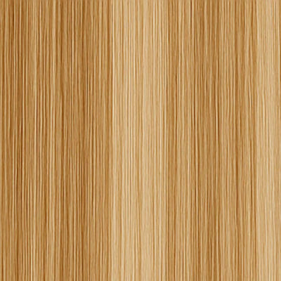 Long Lasting Hair Weft - #10/24