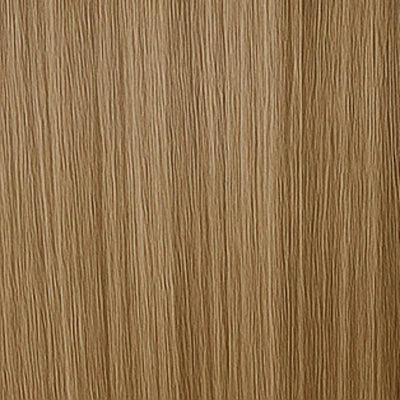 Long Lasting Hair Weft - #11/1001