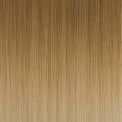 Pre-Bonded Hair Extensions - #11/1001 Balayage