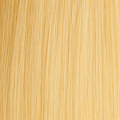 Clip-on Extensions - #24 Blond