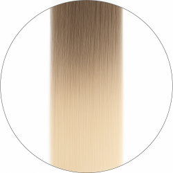 Long Lasting, #11/1001 Balayage, 50cm, 50g, Tape Extensions, Single drawn