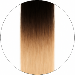 Long Lasting, #1/6001, 50cm, 50g, Tape Extensions, Single drawn